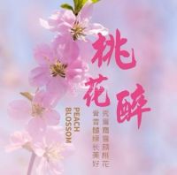 桃花醉SPA会馆(桃花醉SPA会馆)